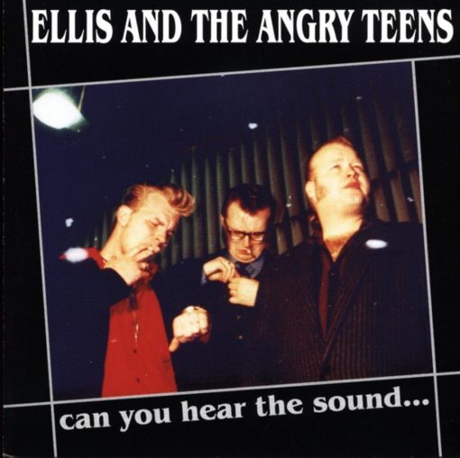 Ellis And The Angry Teens - Can you hear the sound ( CD )