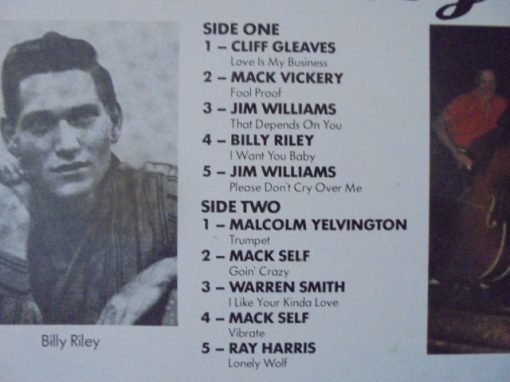 Hillbilly Rock ( 10 INCH/25 CM )Charly Records CFM 509 – Image 3