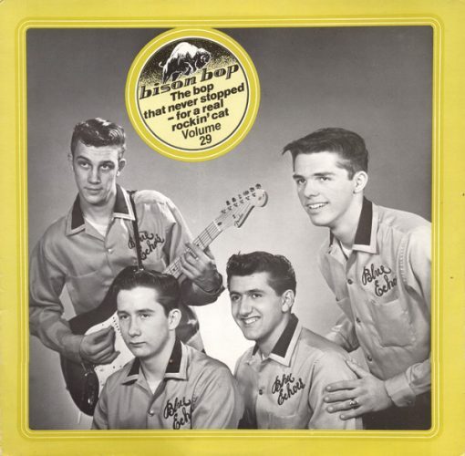 Various – Bison Bop Volume 29  ( Vinyl, LP, Compilation)
